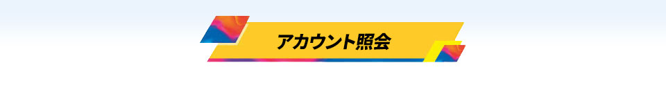 アカウント照会